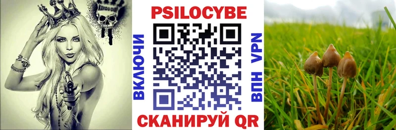 Галлюциногенные грибы мицелий  Магас 